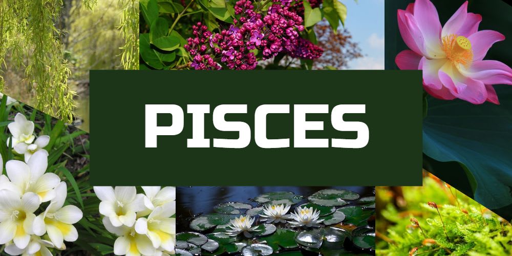 Lucky plants for Pisces