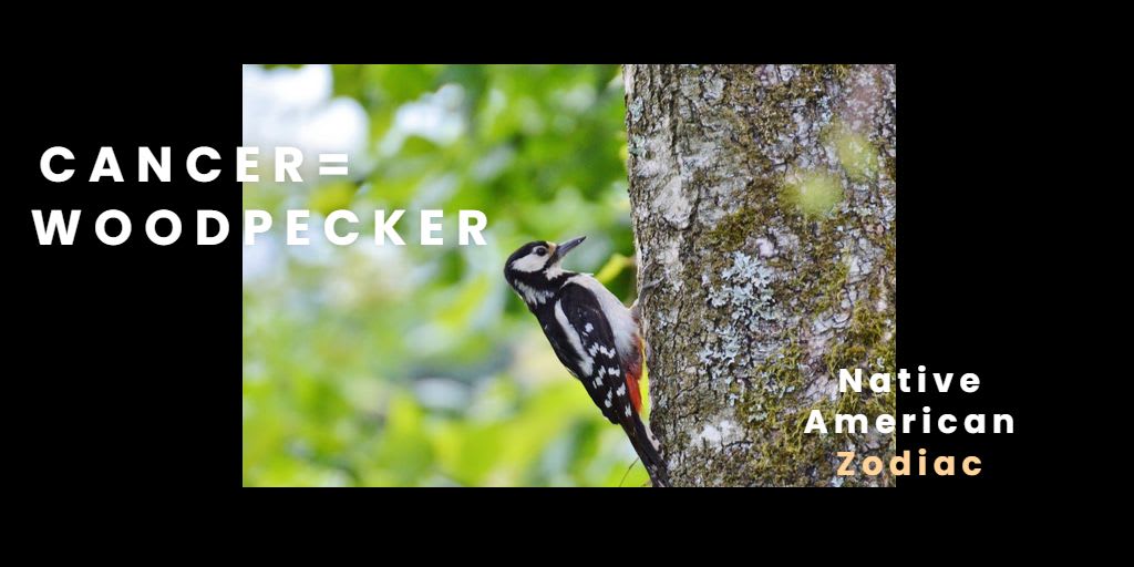 Native American Zodiac Woodpecker