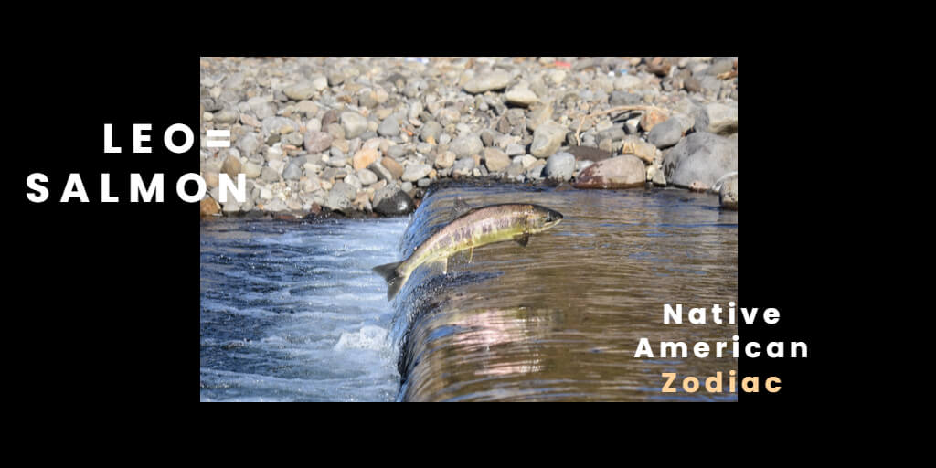 Native American Zodiac Salmon