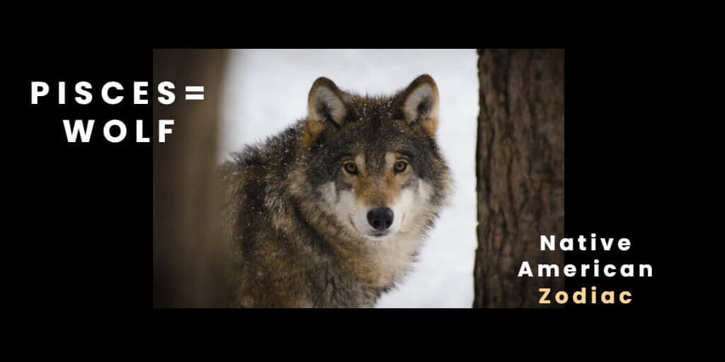 Native American Zodiac Wolf