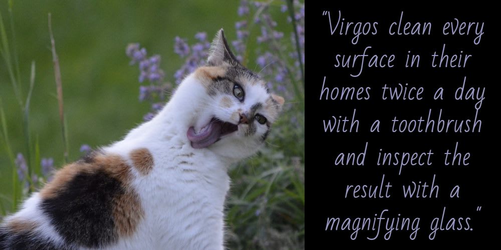 Funny horoscope for Virgo