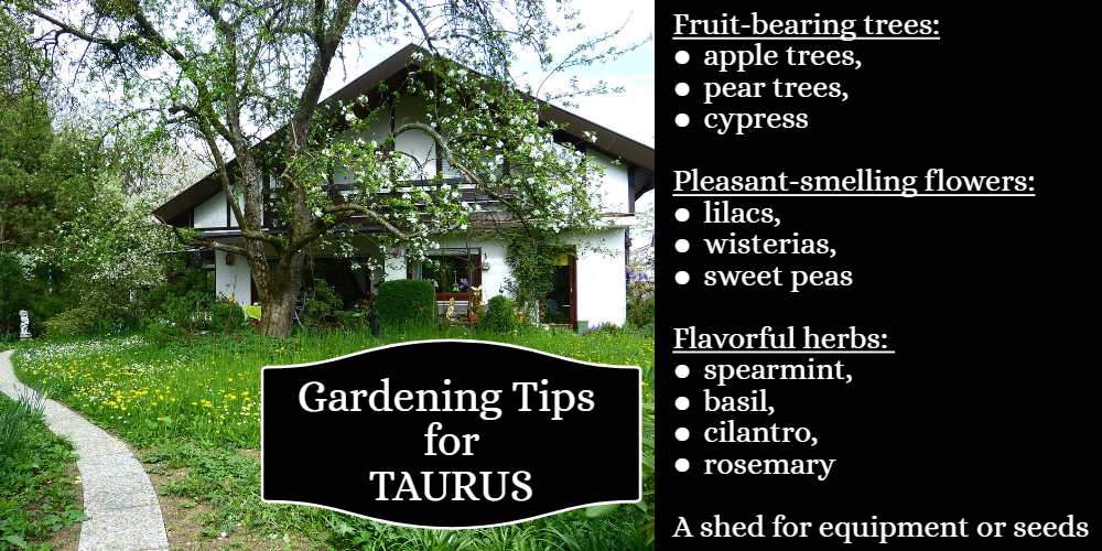 Gardening Tips for Taurus