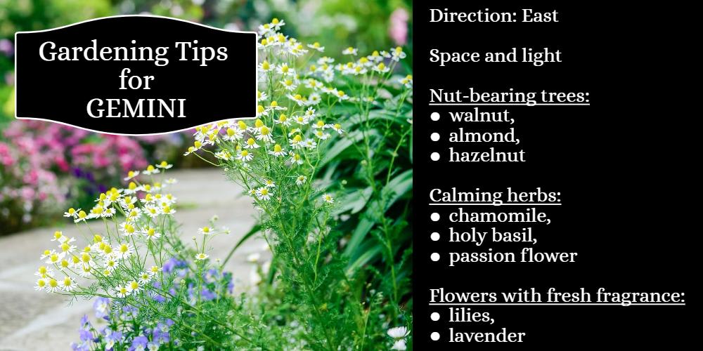 Gardening Tips for Gemini