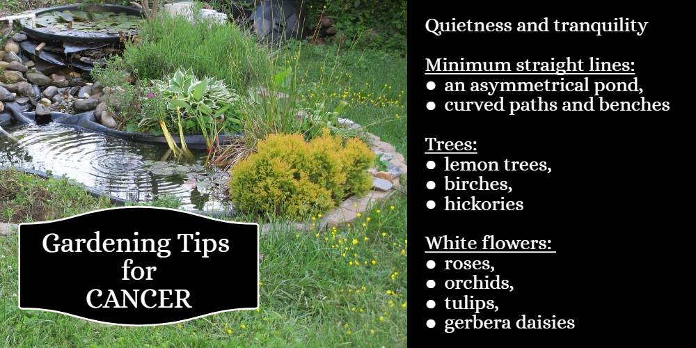 Gardening Tips for Cancer