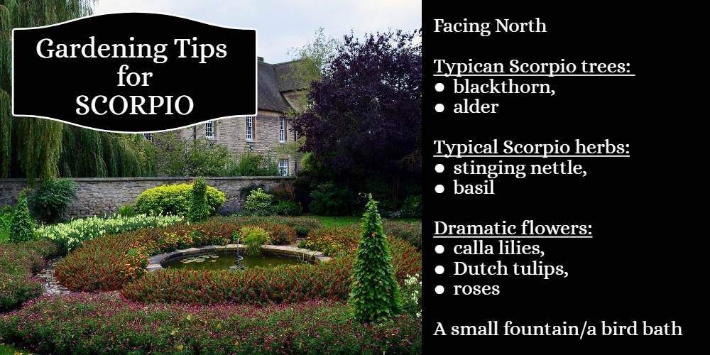 Gardening Tips for Scorpio