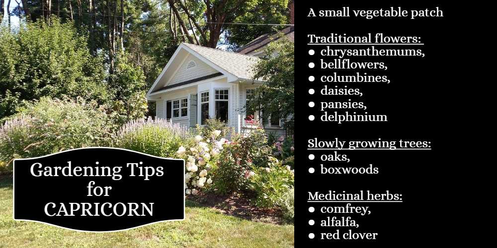 Gardening Tips for Capricorn