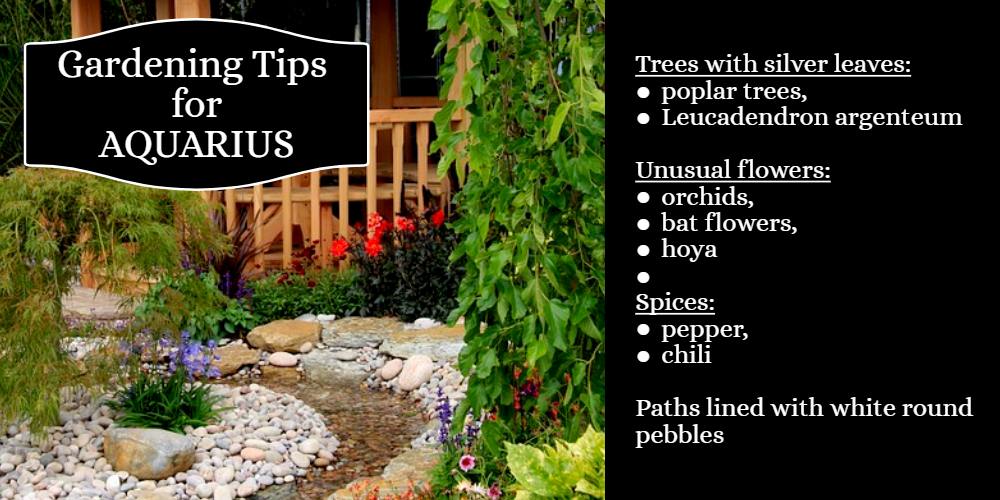 Gardening Tips for Aquarius