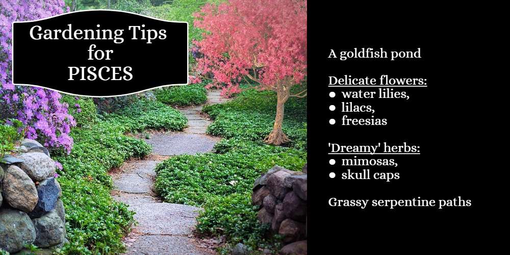 Gardening Tips for Pisces