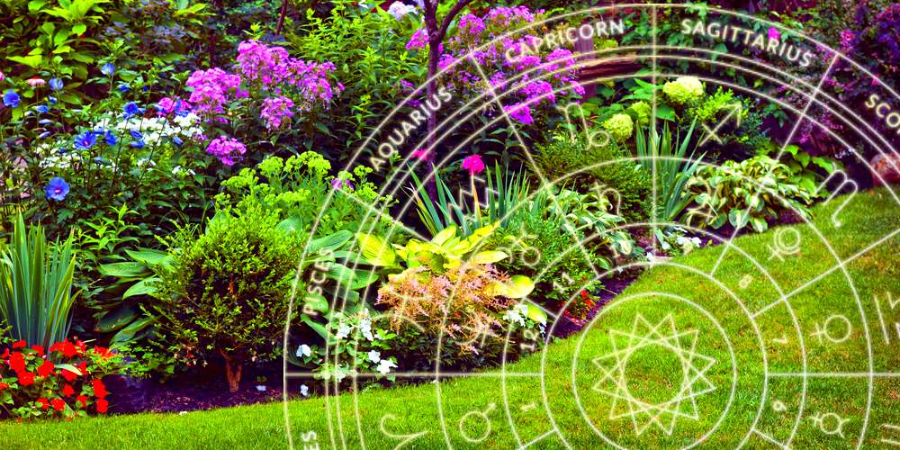 Zodiac Garden Planting Tips for Your Sign