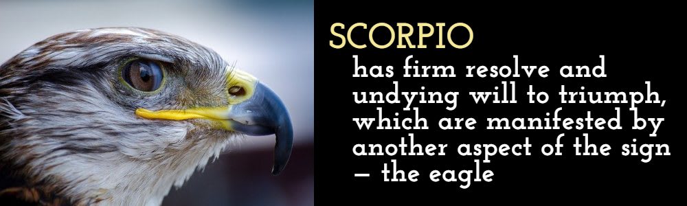 Fun facts about Scorpio