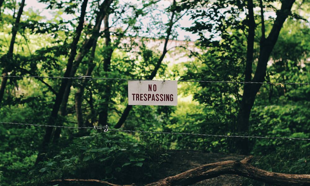 Adventurous and thrill seeking sagittarius might go to jail for trespassing.