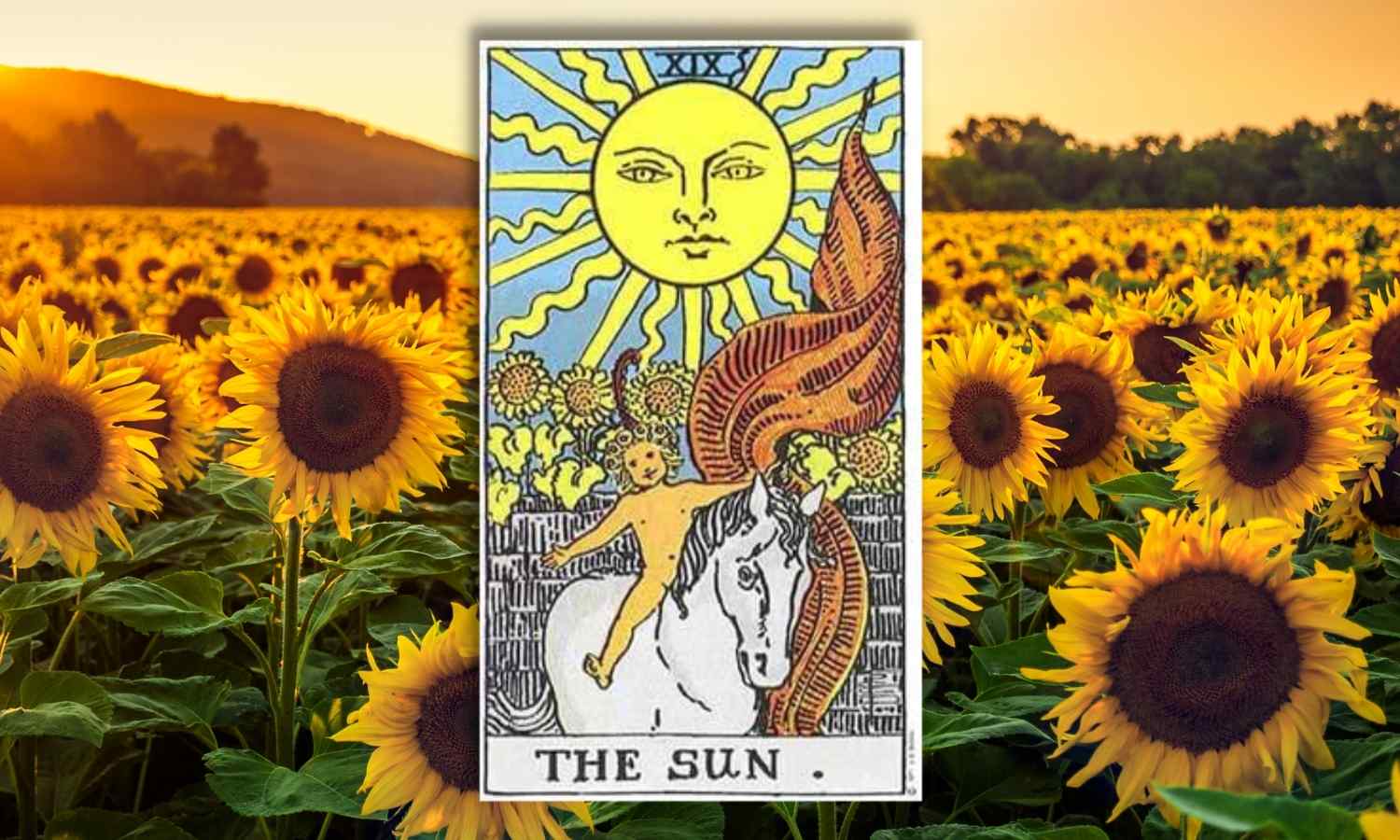 The Sun is a joyous card that reminds you to shine your light.