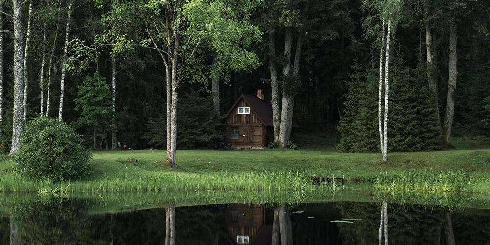 A lone cottage in the woods. The theme of the reversed hermit is loneliness.