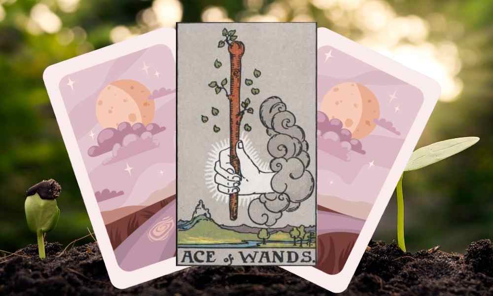 The Ace of Wands is a good omen when starting a new journey.