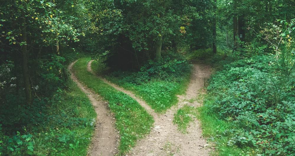 Five of wands reversed indicates a fork in the road, or troubling make a decision.