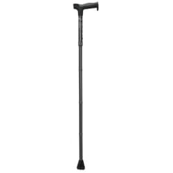 Walking Stick