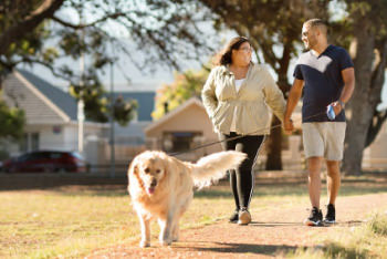 Couple walking the dogs