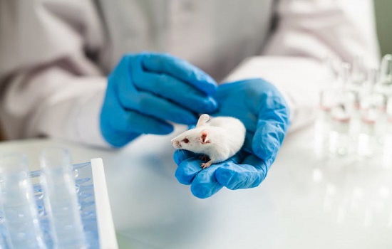 Scientist with mouse Scientist with mouse