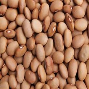 Brown Beans (Mudu)