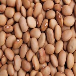 Brown Beans (Bag)