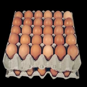 Egg (crate)