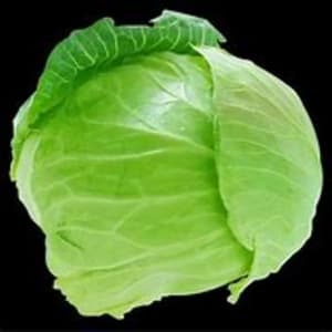 Cabbage