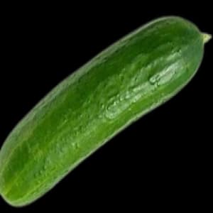 Cucumber