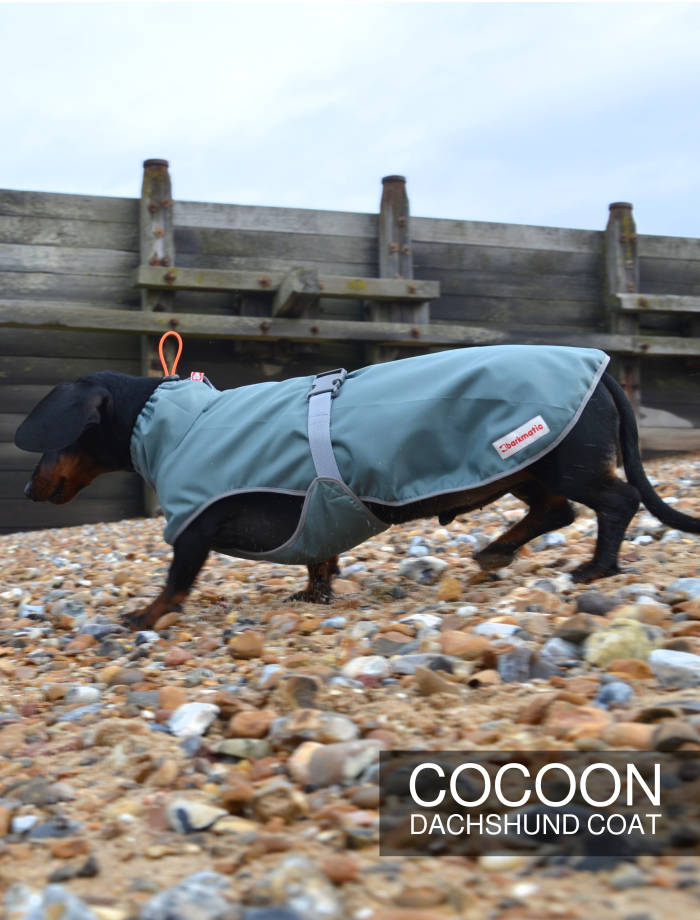 Sausage dog coats a perfect fit for your doxie from Barkmatic