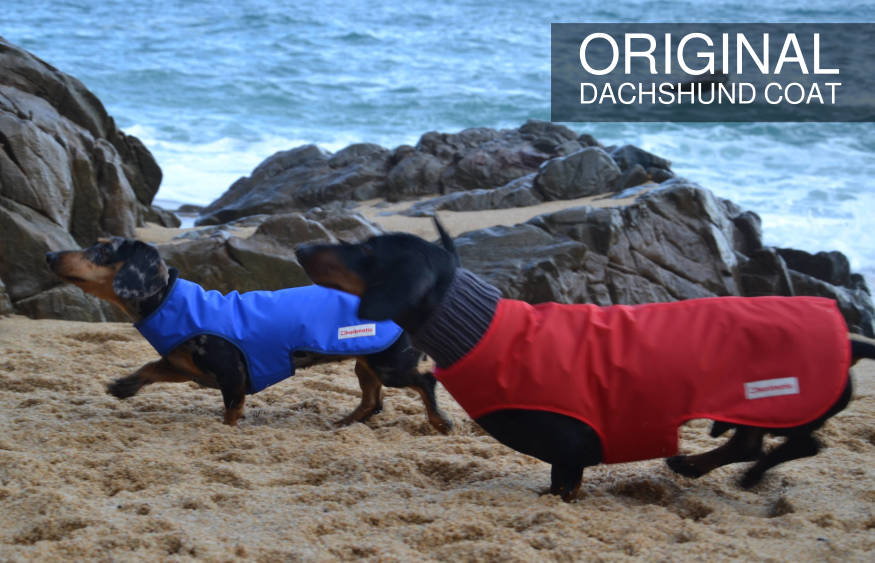 Sausage dog coats a perfect fit for your doxie from Barkmatic