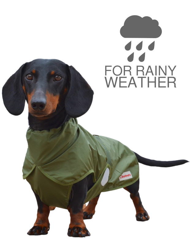 dachshund puffer jacket