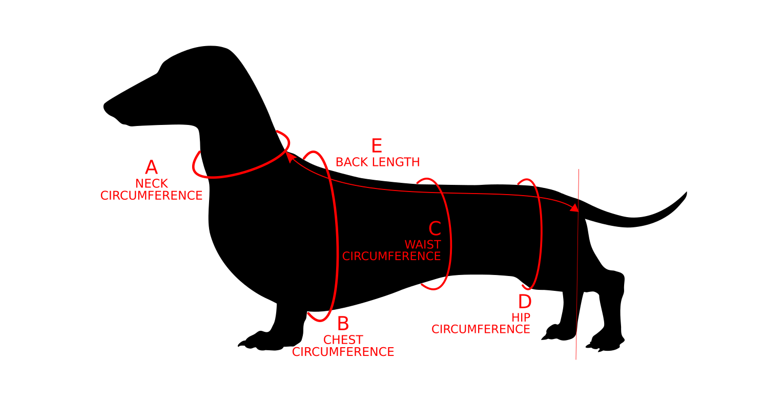 Sausage dog coats Barkmatic How to measure your dog