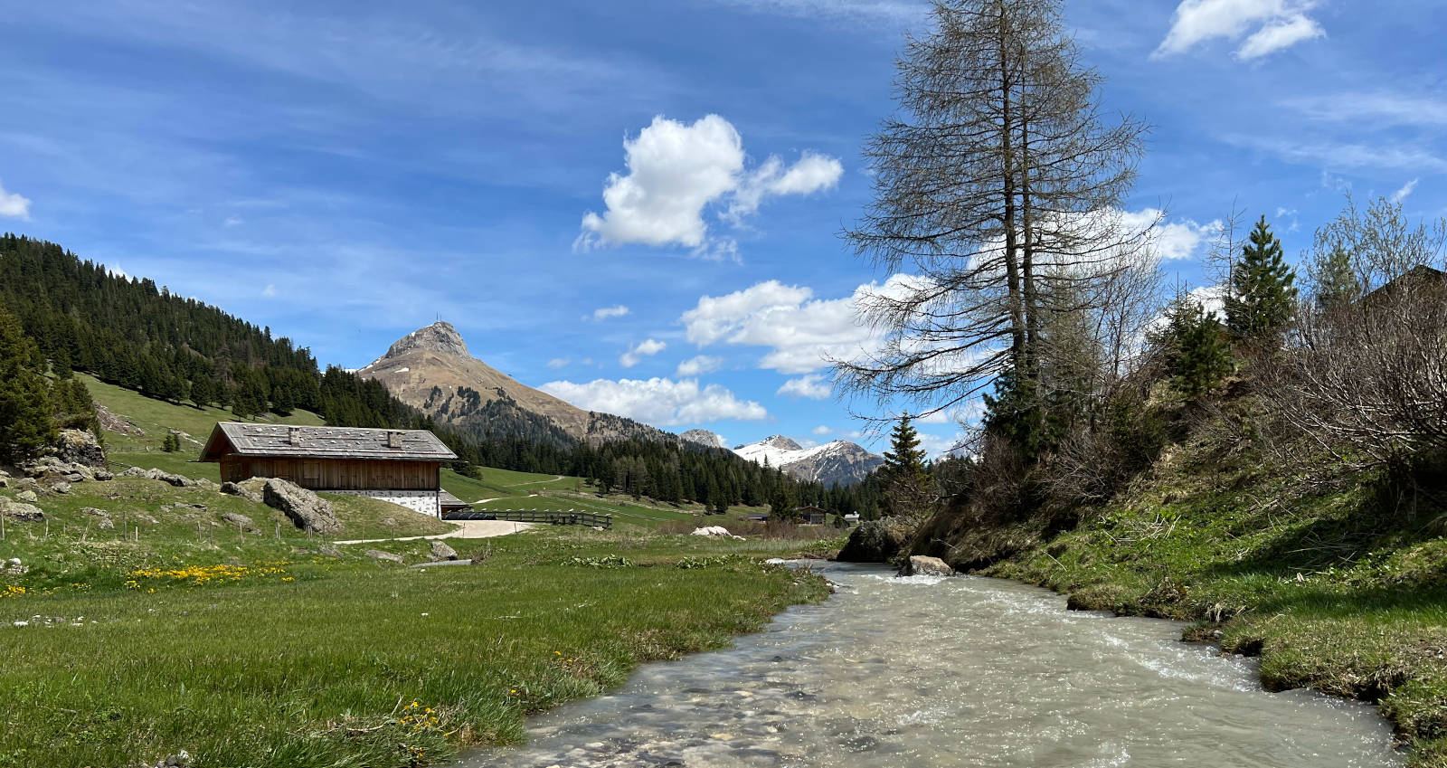 Hotel Medil Val di Fassa Dolomiti Trentino