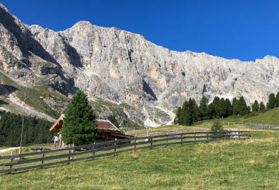 Hotel Medil Campitello di Fassa Dolomiti Trentino