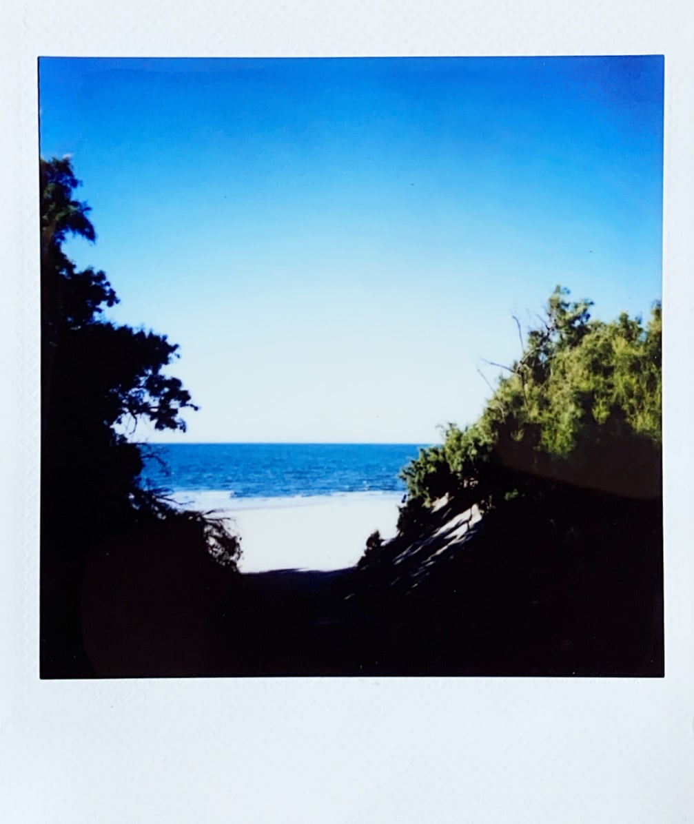 Cover image for las salinas, sinaloa