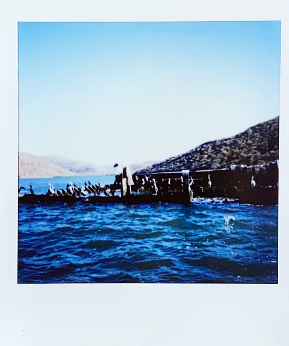 Cover image for topolobampo: tale of a lake