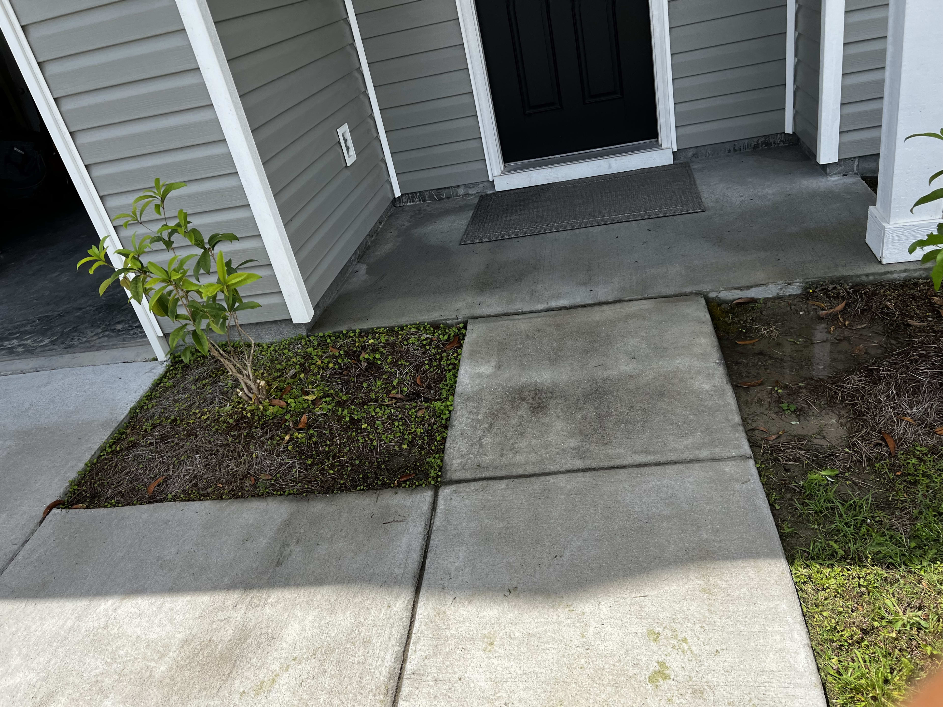 Front Yard Cleanup before