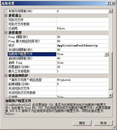 “加载用户配置文件”选项