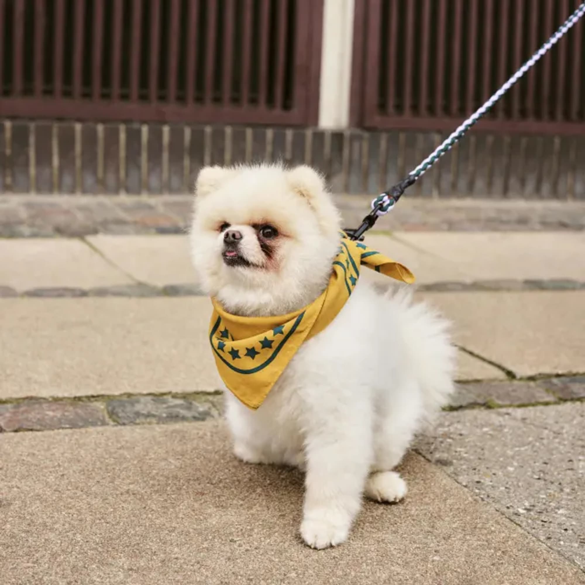 illustration image for doc