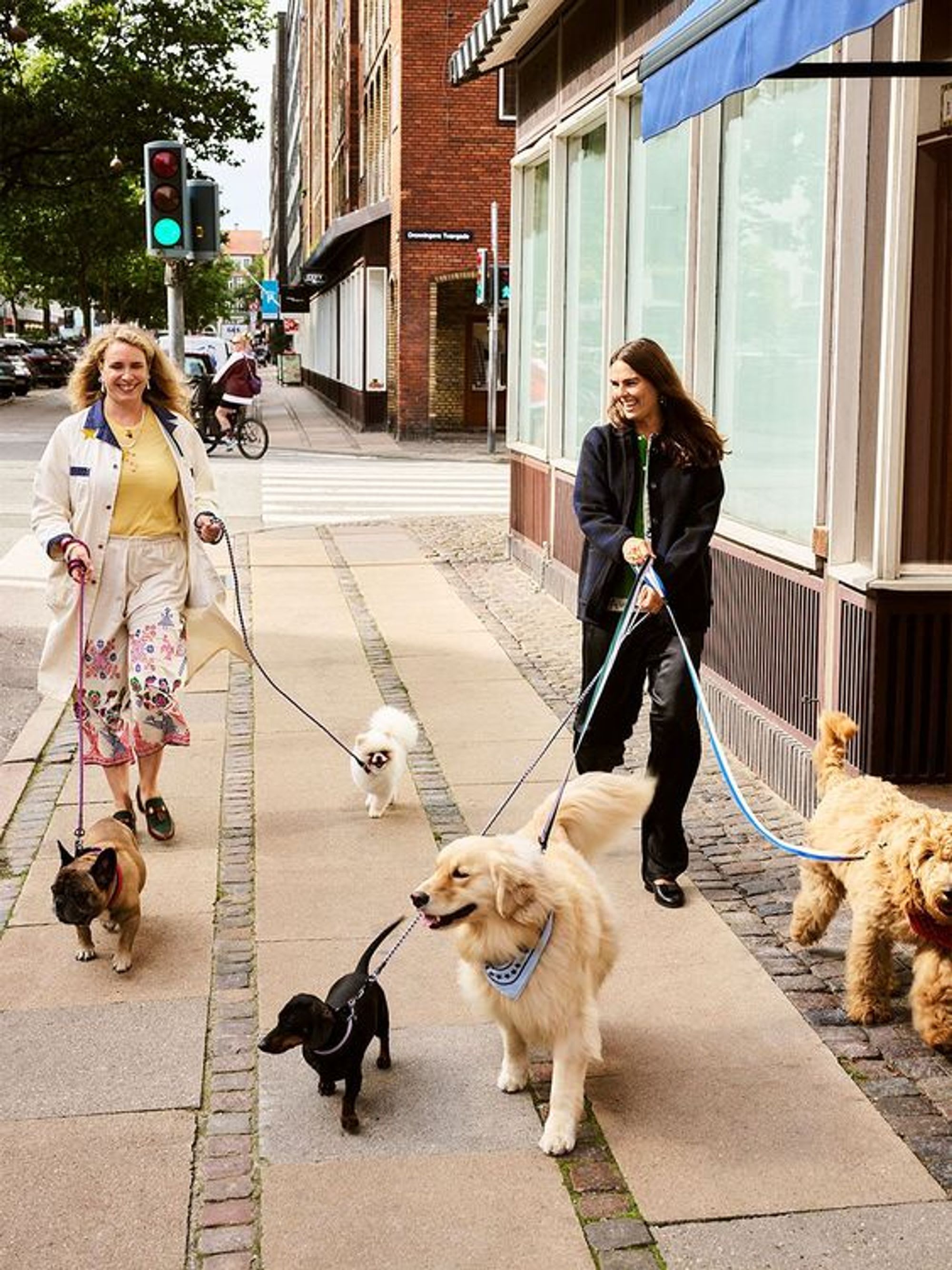 illustration image for doc