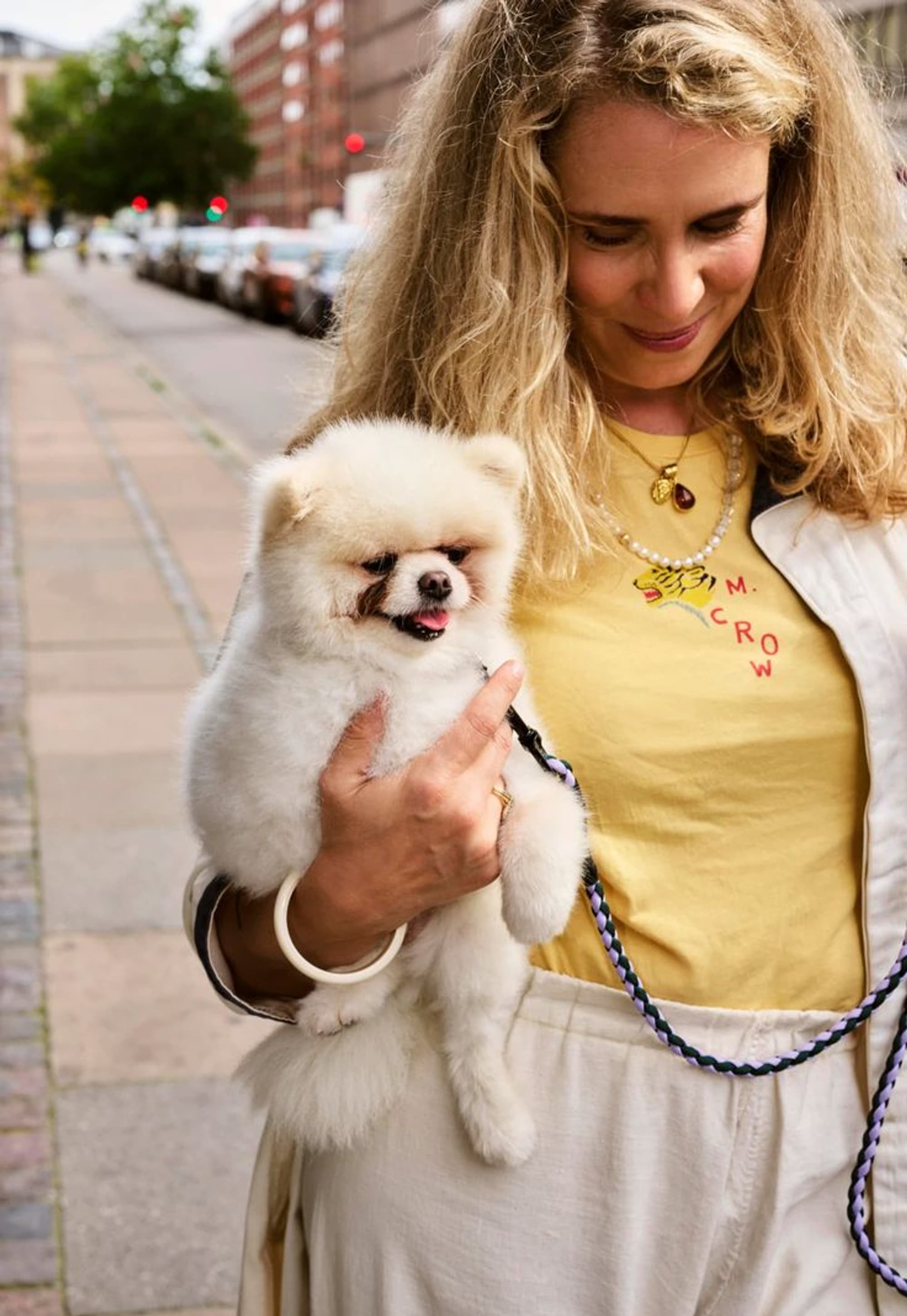 illustration image for doc