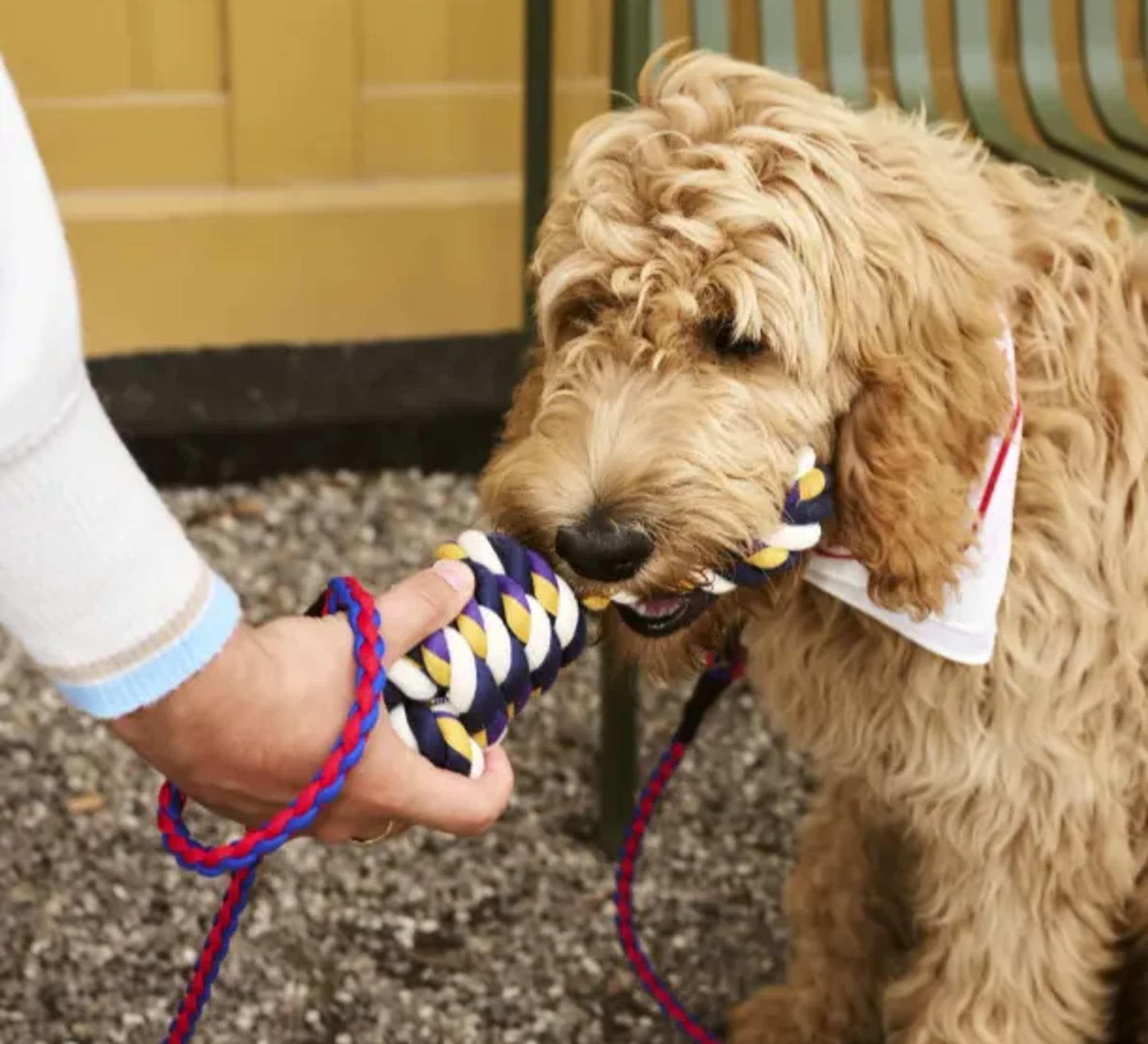 illustration image for doc