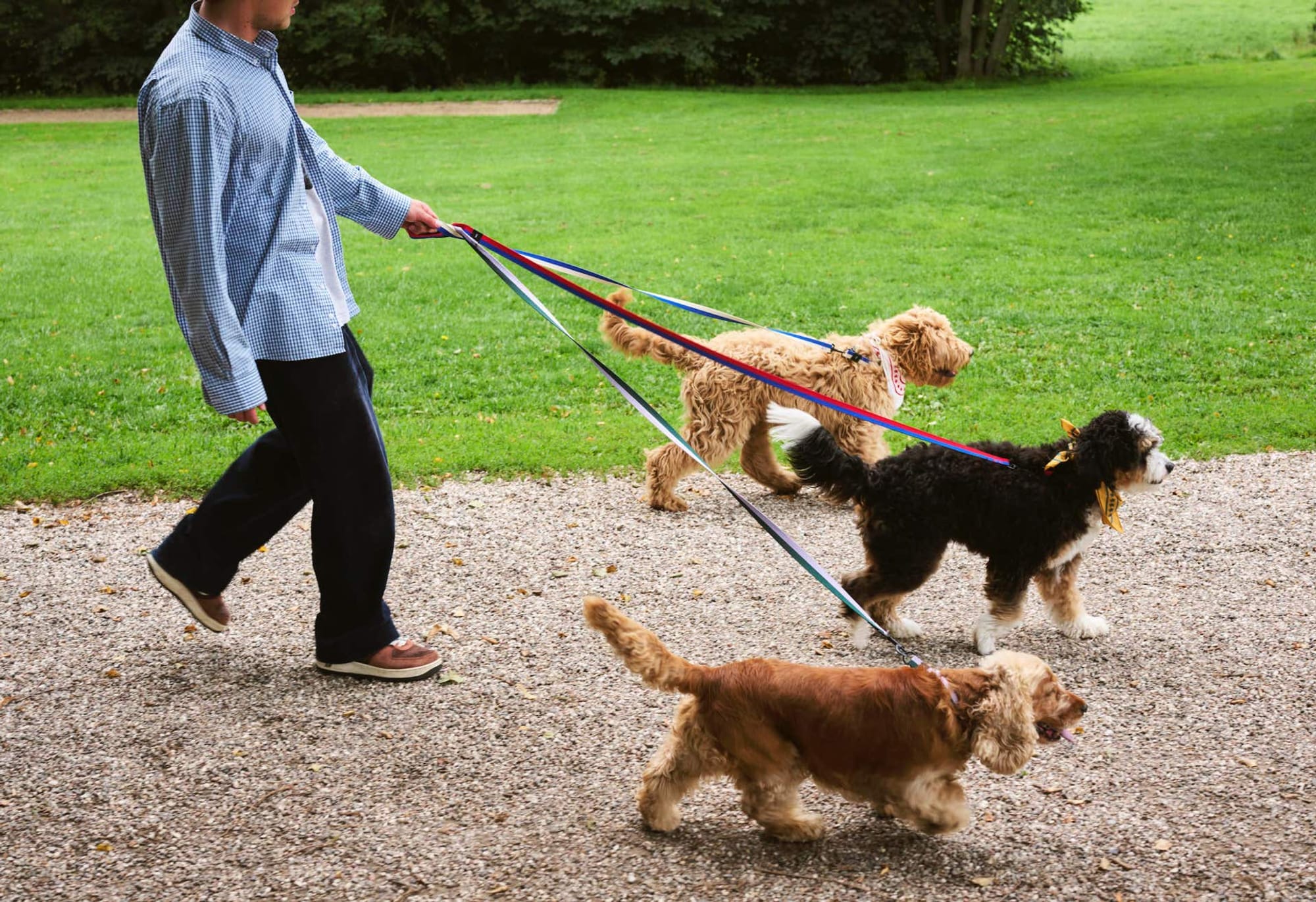 illustration image for doc