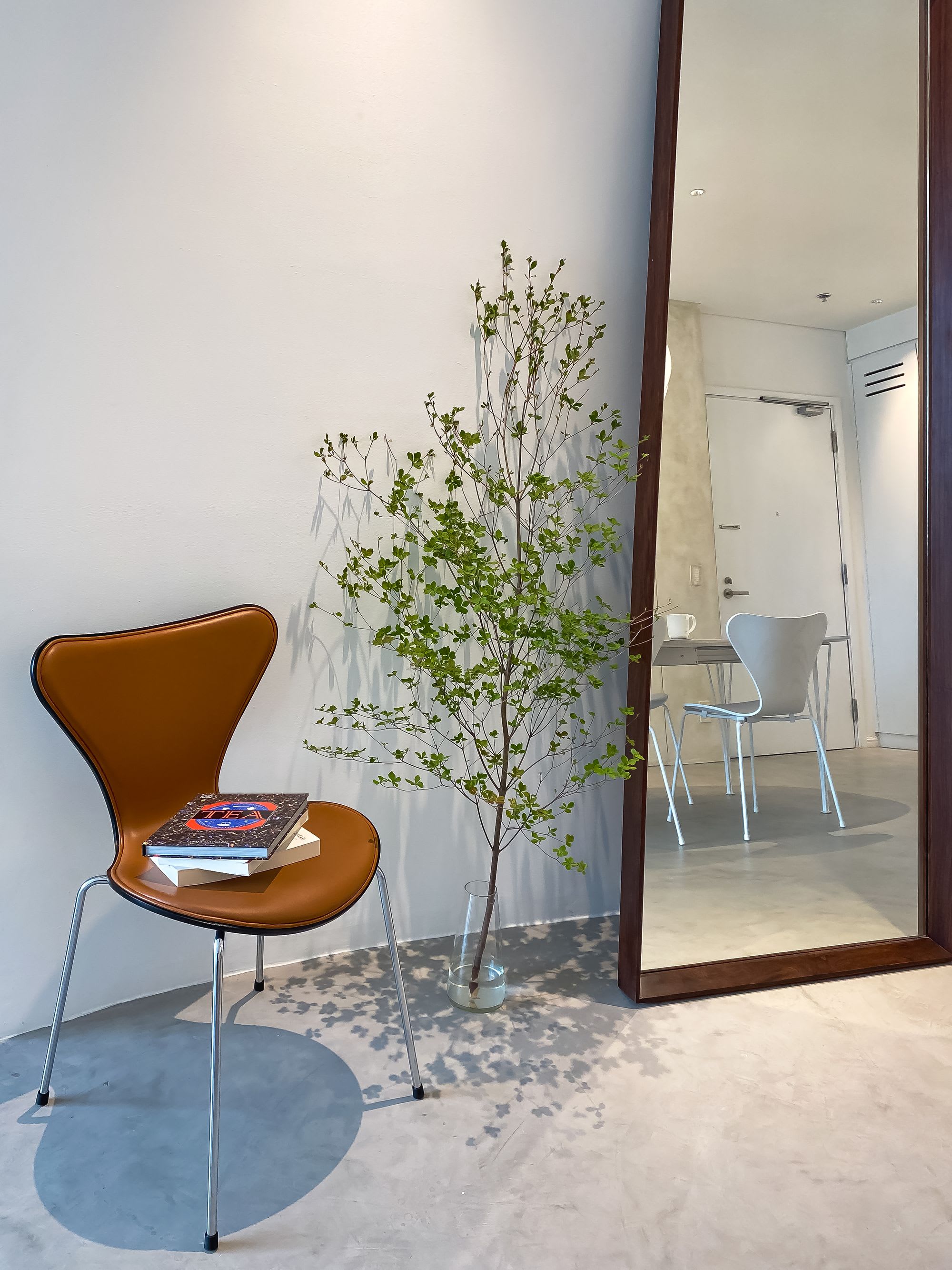 illustration image for doc