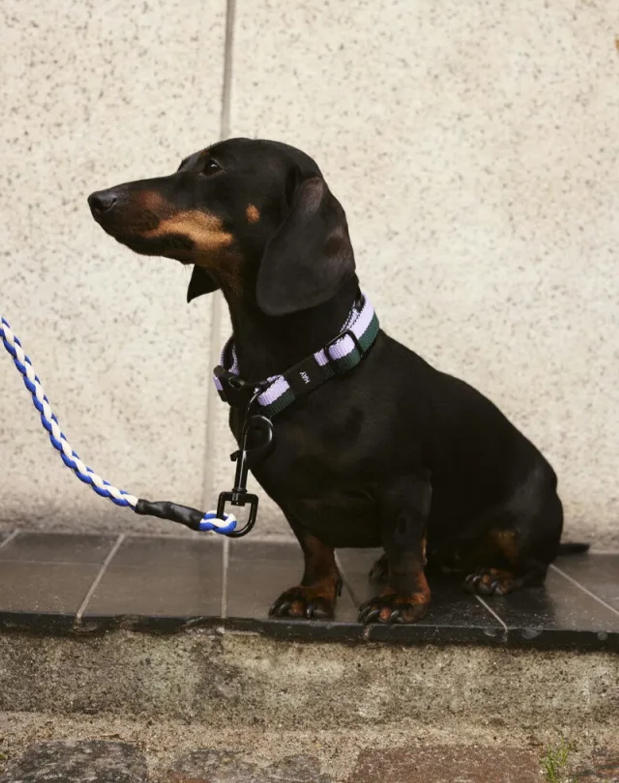 illustration image for doc