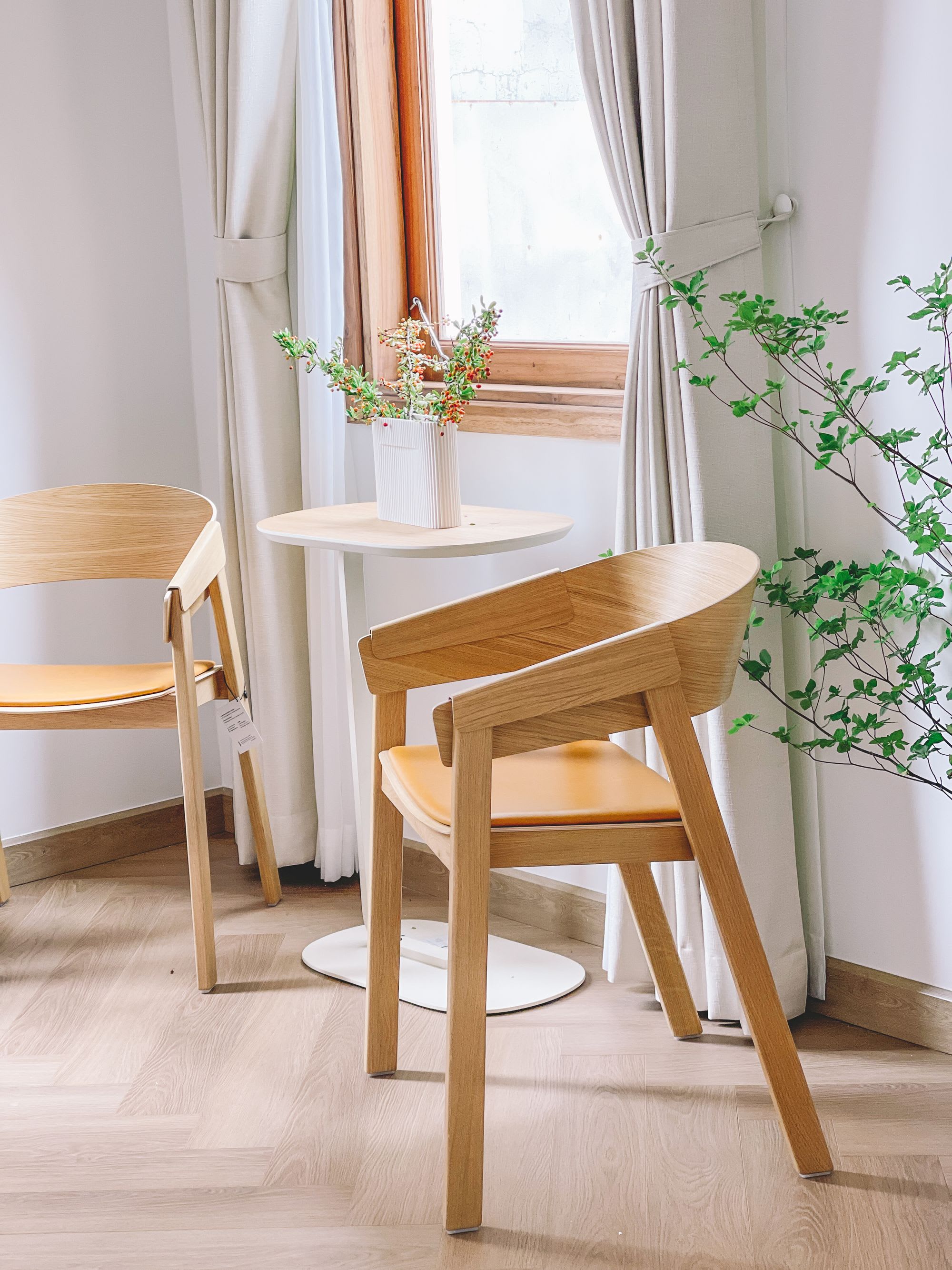 illustration image for doc