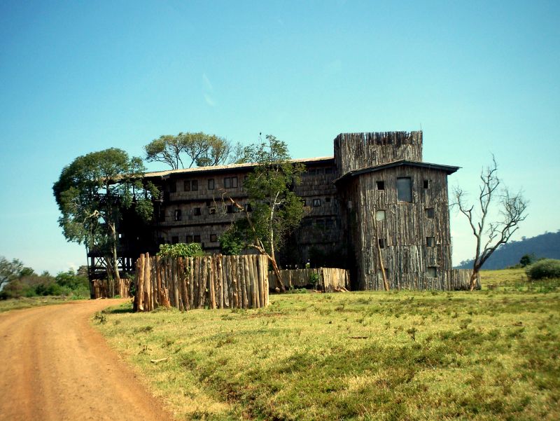 Treetops Lodge, Mount Kenya & Aberdares, Kenya
