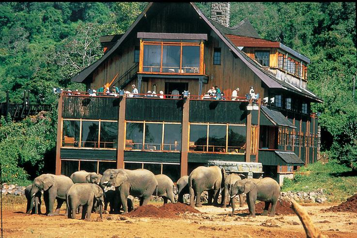 Treetops Lodge, Mount Kenya & Aberdares, Kenya