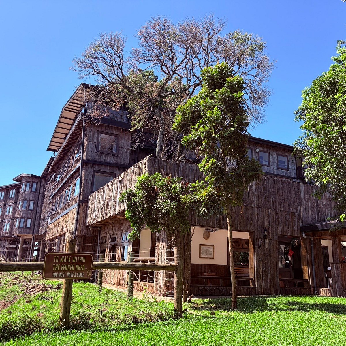 Treetops Lodge, Mount Kenya & Aberdares, Kenya