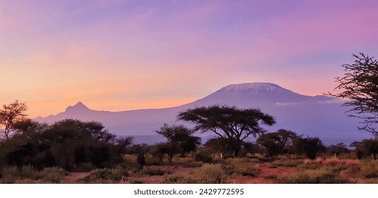 Amboseli, Kenya