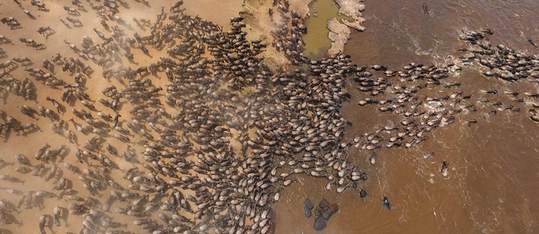 Masai Mara, Kenya